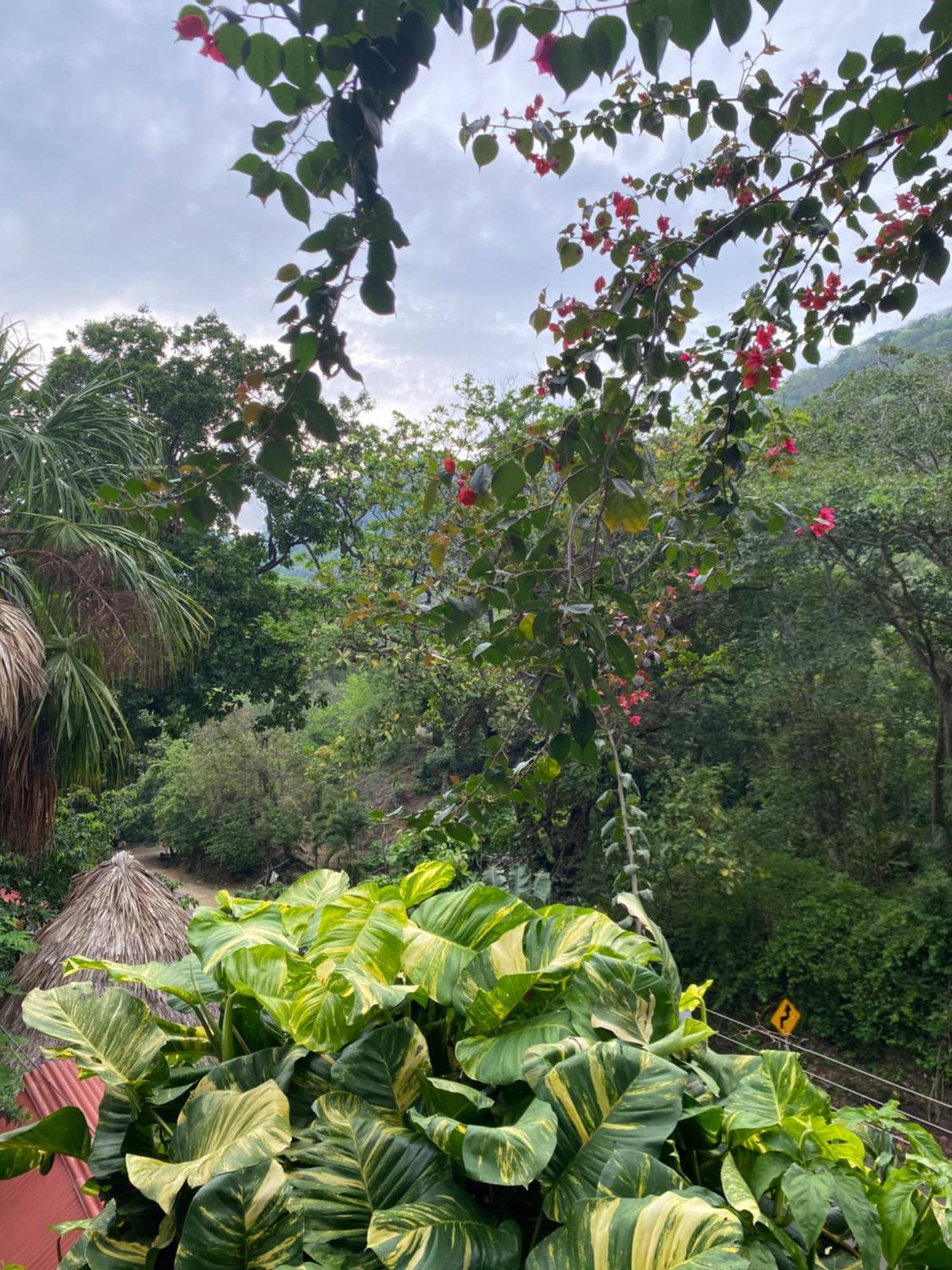 Eco Hostal La Perla Tayrona El Zaino Extérieur photo