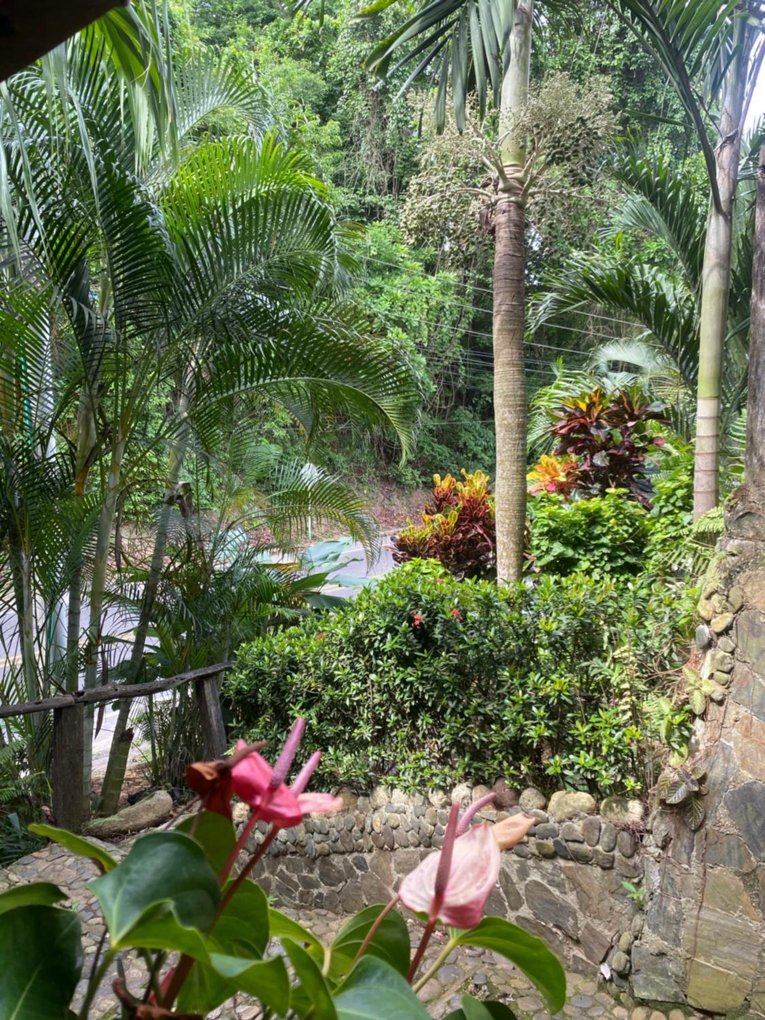 Eco Hostal La Perla Tayrona El Zaino Extérieur photo